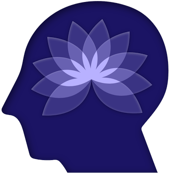 Mindfulness Test